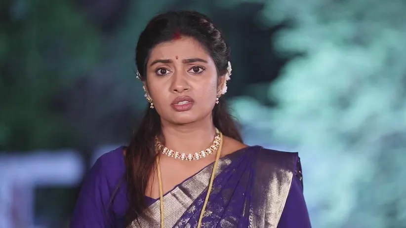Swami Sets a Task for Durga - Maari