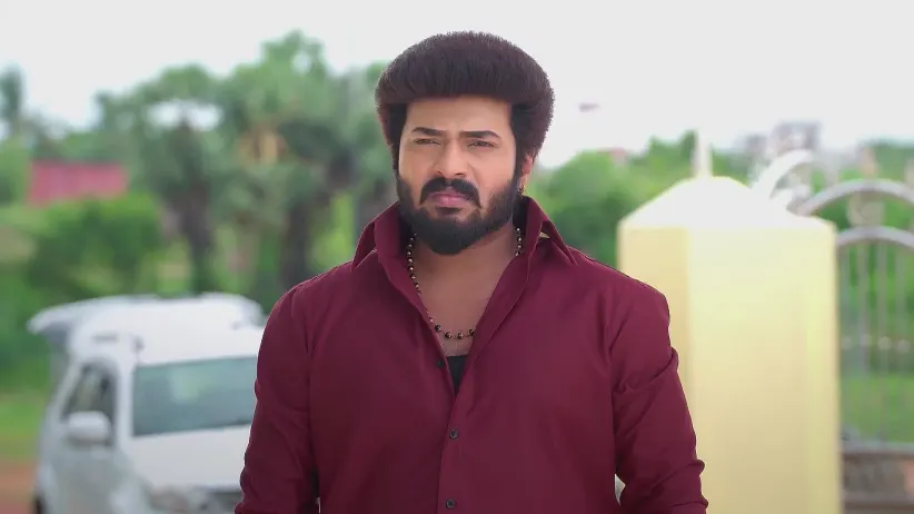 Karthigai Deepam - July 30, 2025 - Best Scene