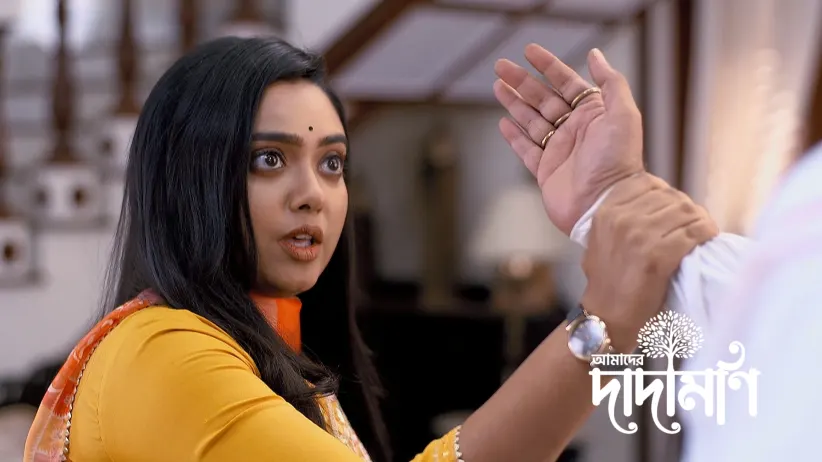 Munshi Confides His Doubts in Parthasarathi