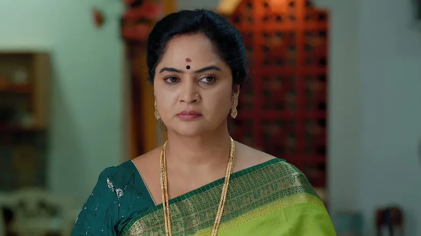 Vaishali Burns Durga’s Sari