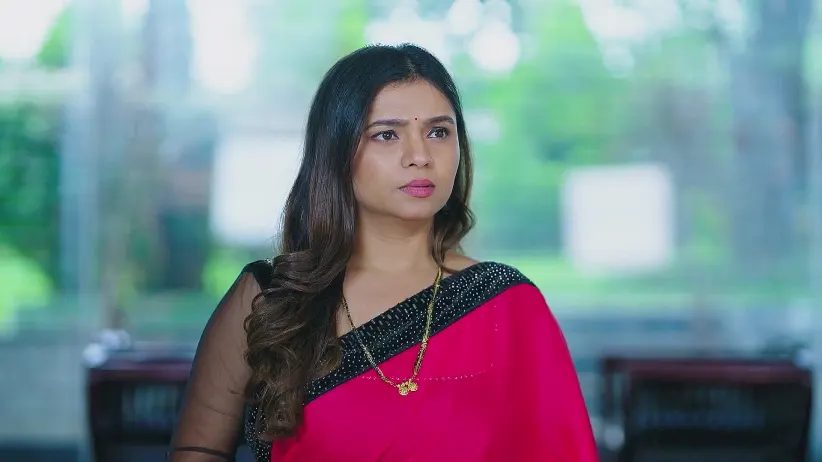 Amruthadhaare - August 24, 2025 - Webisode