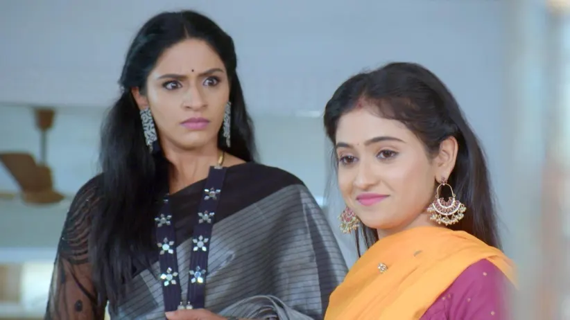 Pavitra Slaps Dev