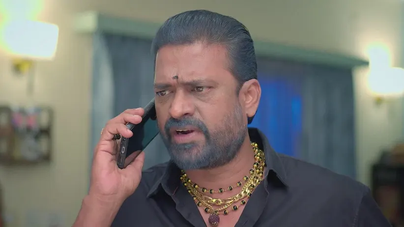 Chinnan Siru Kiliye - September 03, 2025 - Webisode