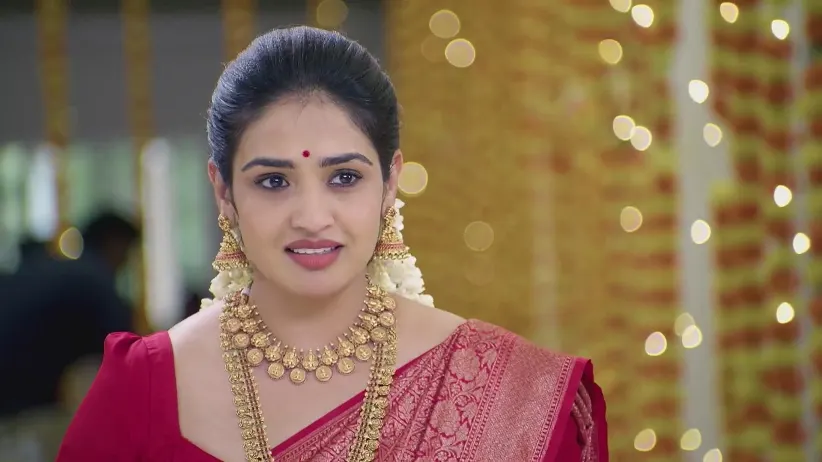 Devaraj's Gift for Shiva - Ayali