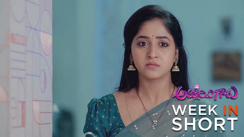 Ammayi Garu | August 25 - August 29, 2025