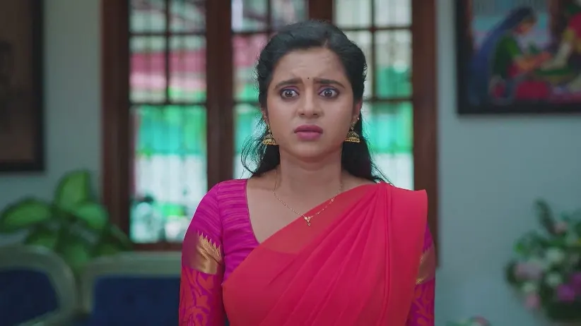 Ramadevi's Announcement Shocks Gouthami