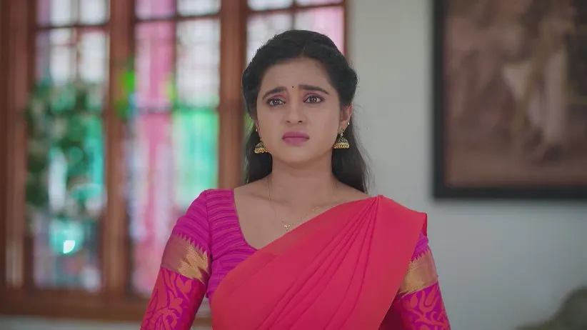 Ramadevi Orders Preetham to Eat Spicy Pani Puri - Gowri