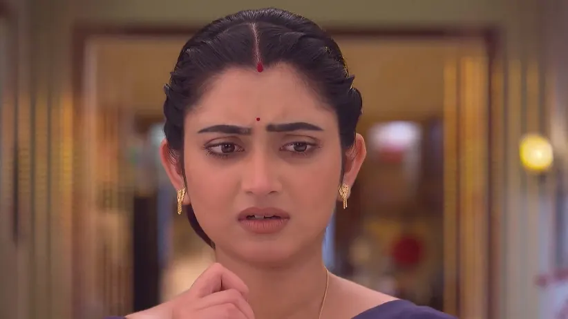 Jagadhatri - September 21, 2025 - Best Scene
