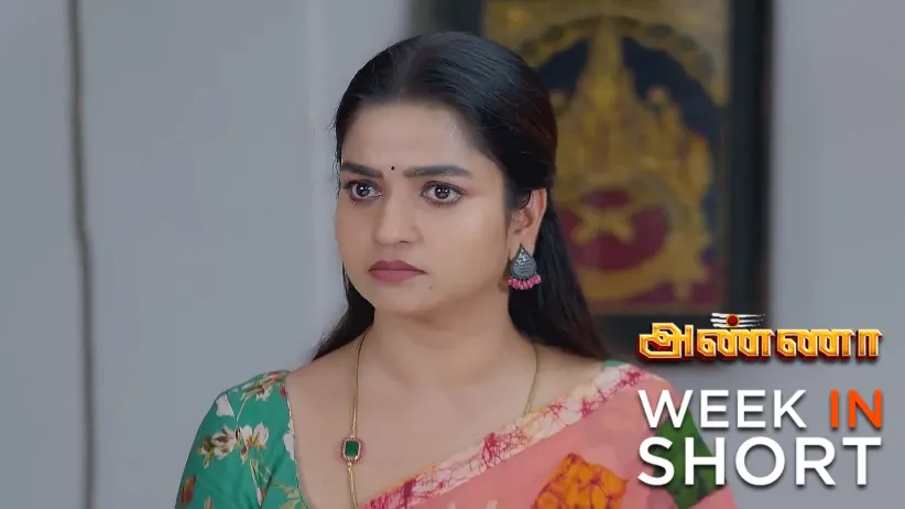 అణ్ణ