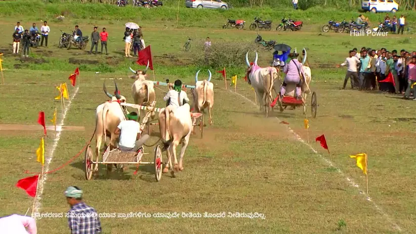 The Final Dash - Halli Power