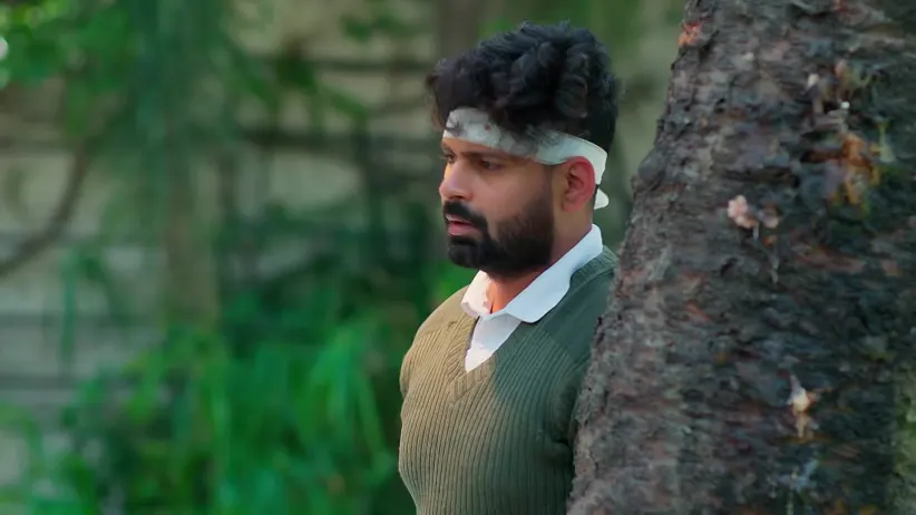 Raja Chinna Roja - September 26, 2025 - Episode Spoiler