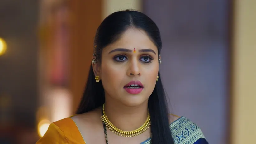 Lakshmi Niwas - October 01, 2025 - Episode Spoiler