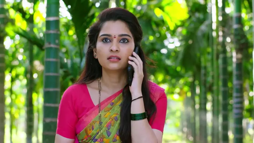 Annayya | October 20 - October 24, 2025