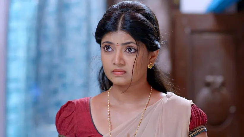 Manthara Finds a Match for Vaidehi