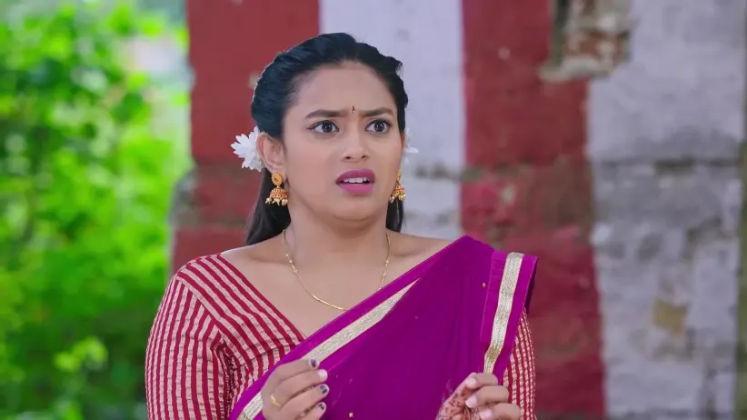 Shravani Subramanya - October 31, 2025 - Best Scene