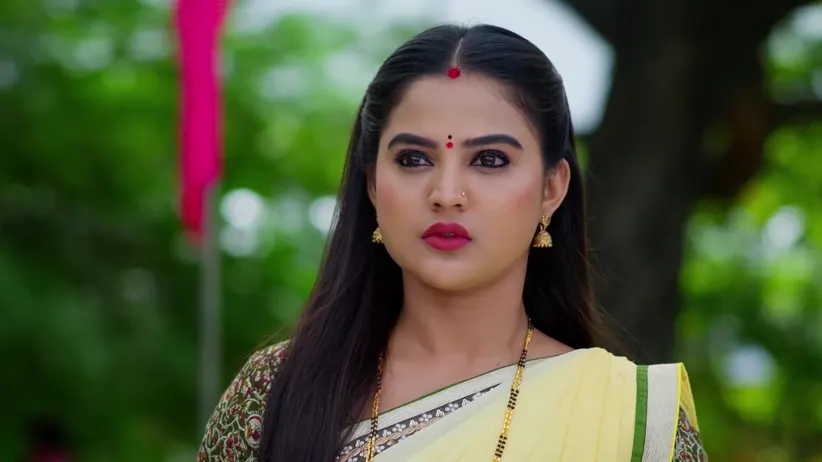 Hrudaya Geethe - October 28, 2025 - Episode Spoiler