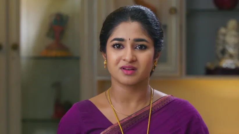 Chinnan Siru Kiliye - November 07, 2025 - Webisode