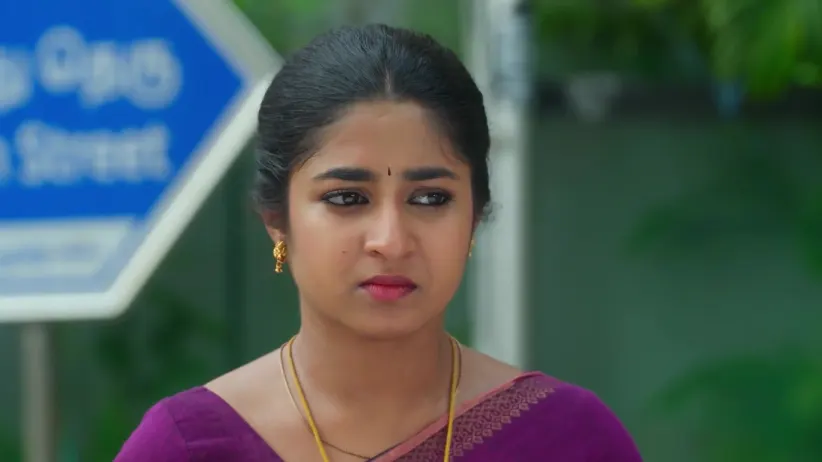 Chinnan Siru Kiliye - November 07, 2025 - Best Scene