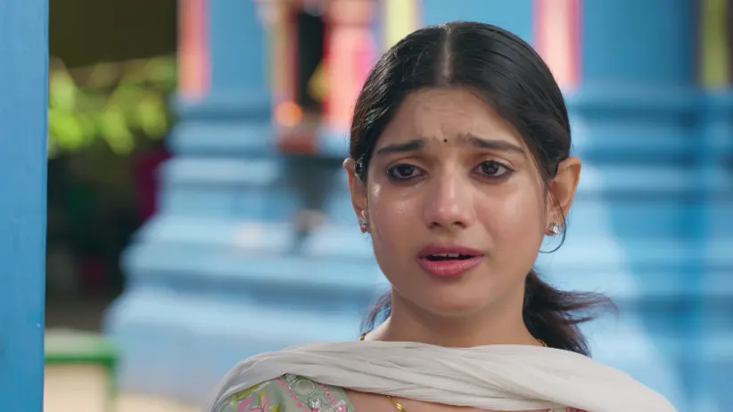 Chinnan Siru Kiliye - November 10, 2025 - Episode Spoiler