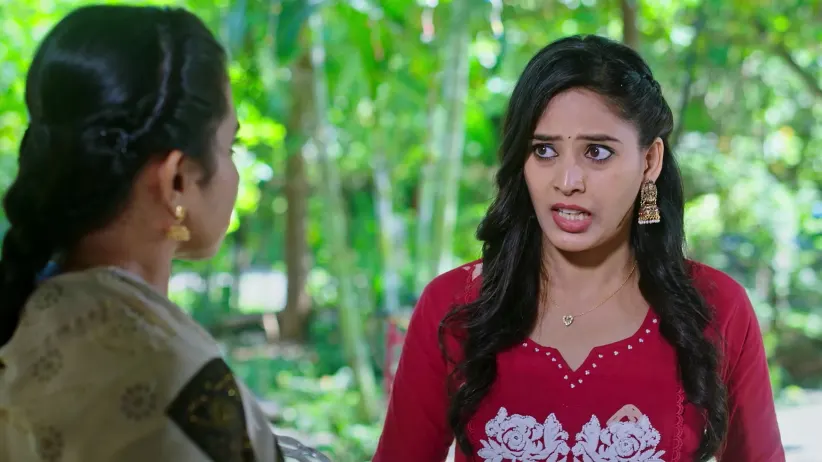 Lakshmi Nivasa - November 10, 2025 - Episode Spoiler