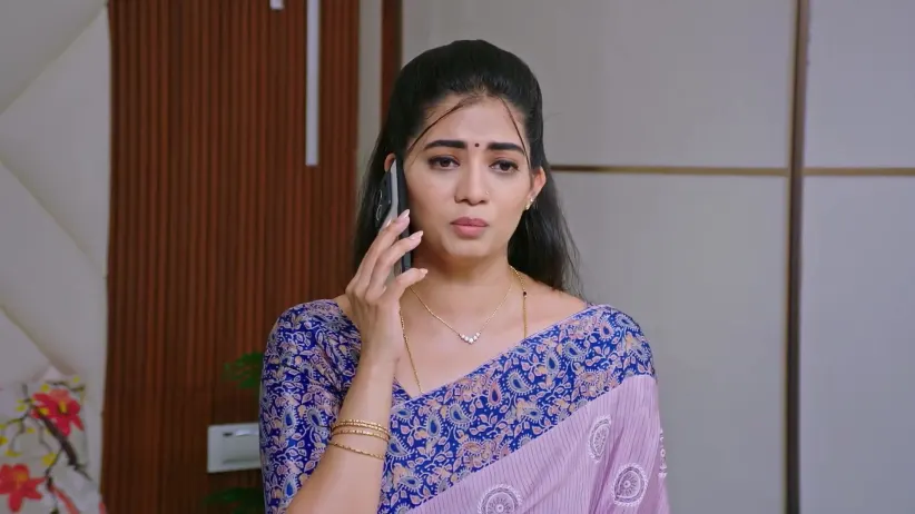 Lakshmi Nivasa - November 14, 2025 - Webisode