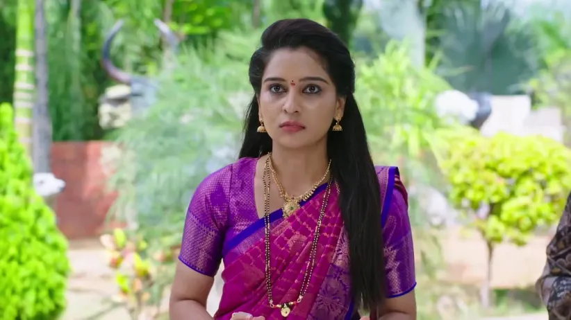 Annayya | November 03 - November 07, 2025