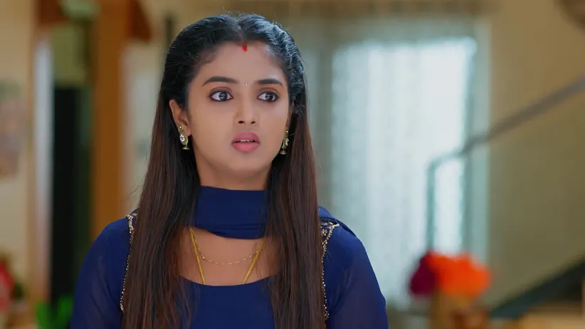 Meghasandesam - November 09, 2025 - Webisode