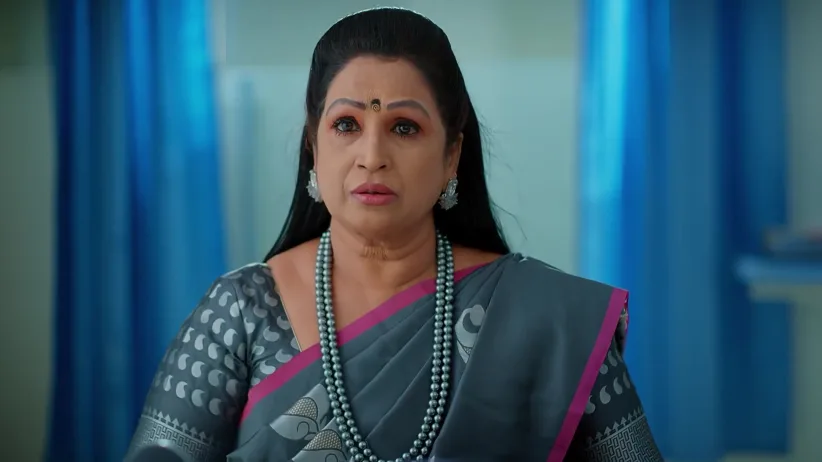 Meghasandesam - November 13, 2025 - Webisode