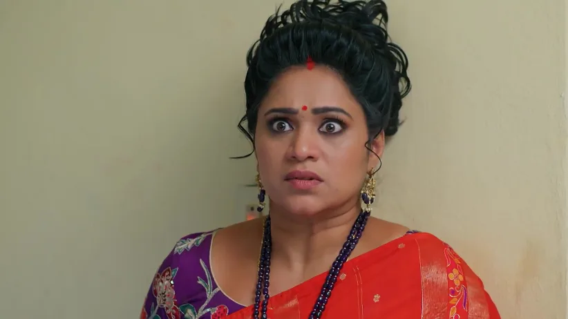 Meghasandesam - November 16, 2025 - Webisode