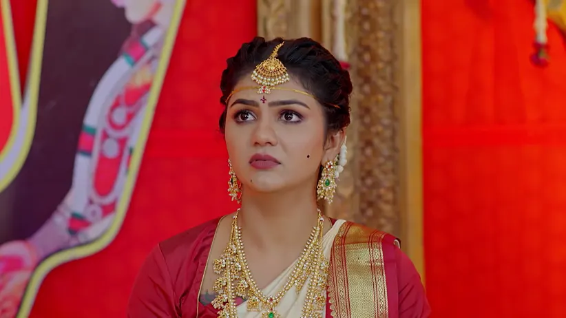Dheerga Sumangali Bhava - November 14, 2025 - Episode Spoiler