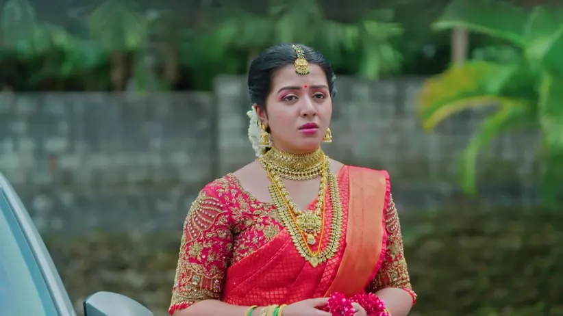 KrishnaGadha - November 11, 2025 - Episode Spoiler