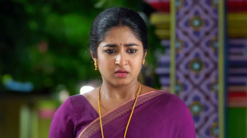 Chinnan Siru Kiliye - November 10, 2025 - Webisode