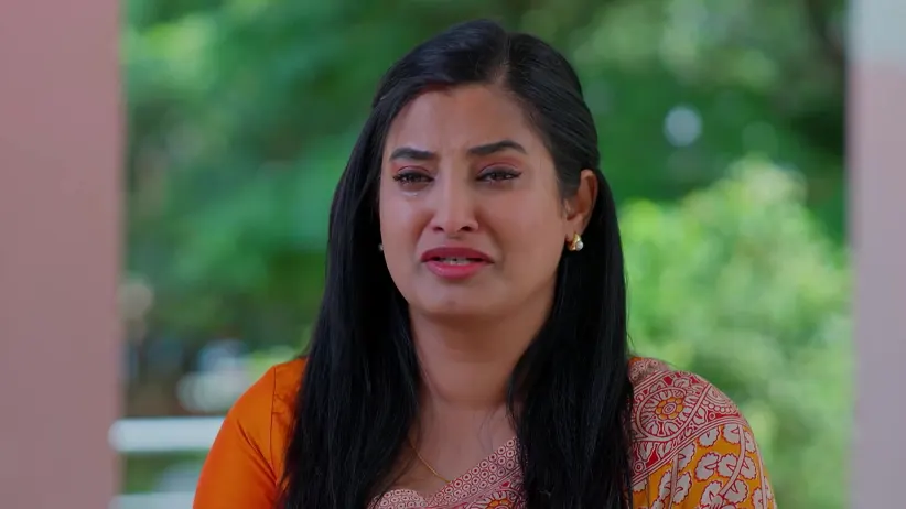 Meghasandesam - November 19, 2025 - Webisode