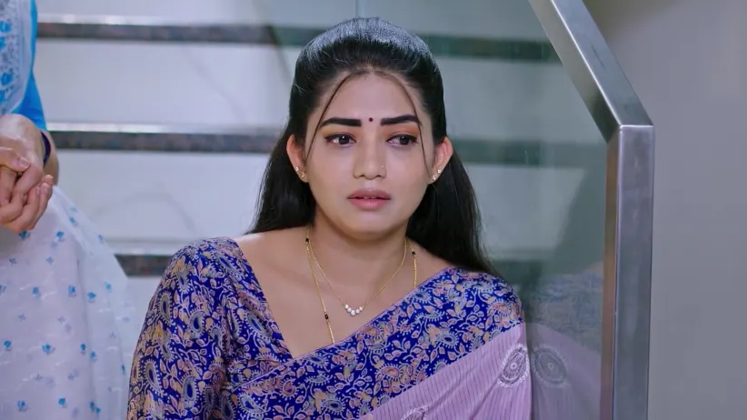 Lakshmi Nivasa - November 20, 2025 - Webisode