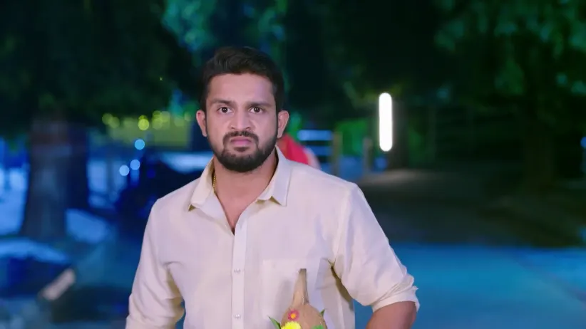 Annayya - November 20, 2025 - Episode Spoiler