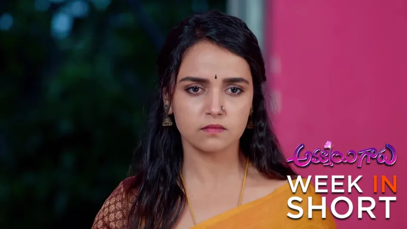 Ammayi Garu | November 10 - November 14, 2025