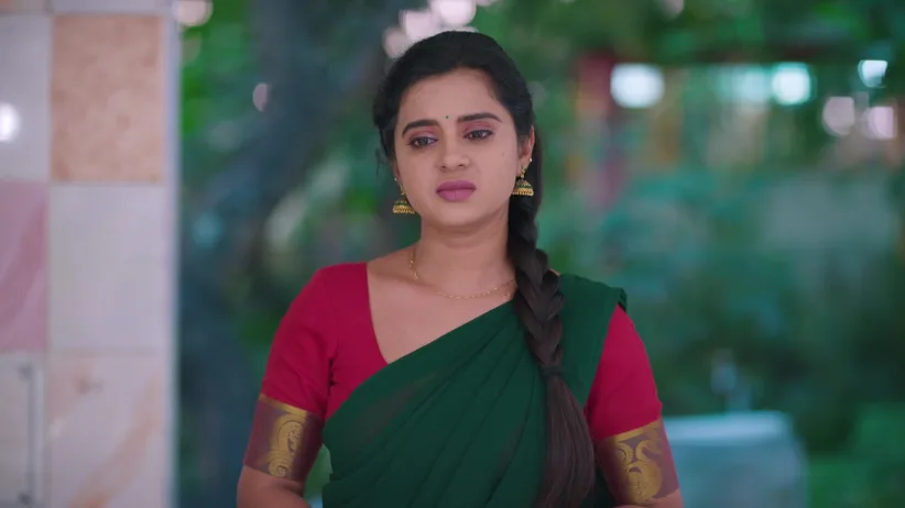 Gowri - November 26, 2025 - Episode Spoiler