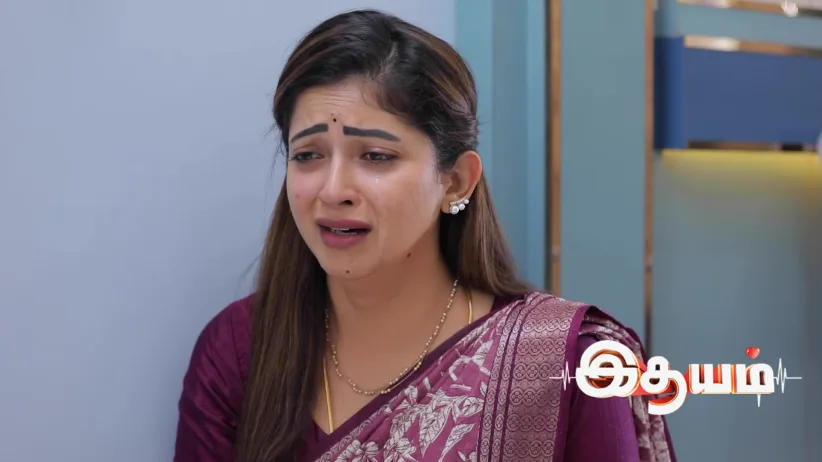 Idhayam - November 29, 2025