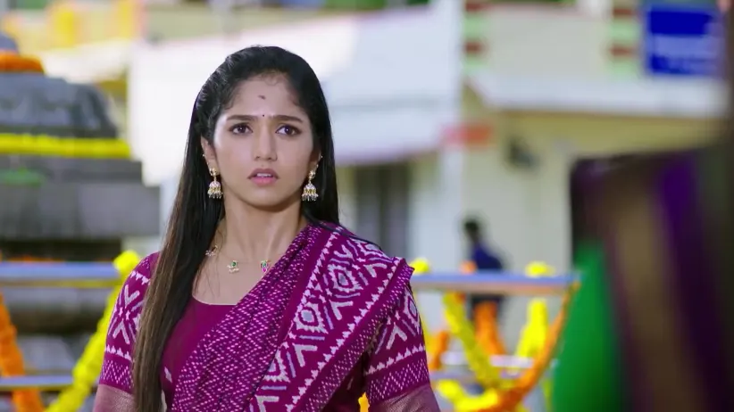 Annayya | November 17 - November 21, 2025