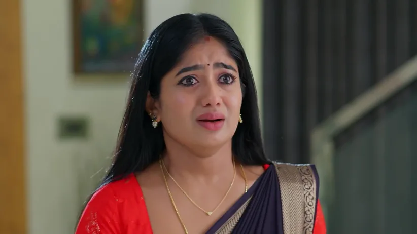 Shaurya Berates Asmita