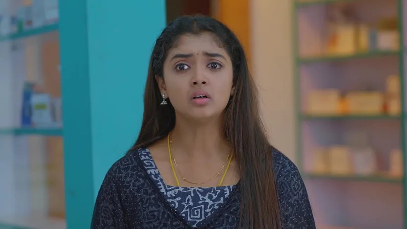 Meghasandesha - November 26, 2025 - Episode Spoiler