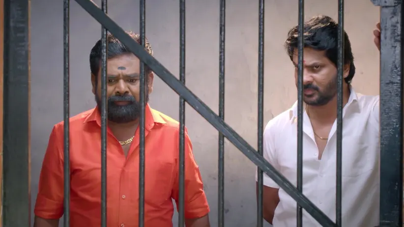 Karthigai Deepam - December 05, 2025 - Webisode