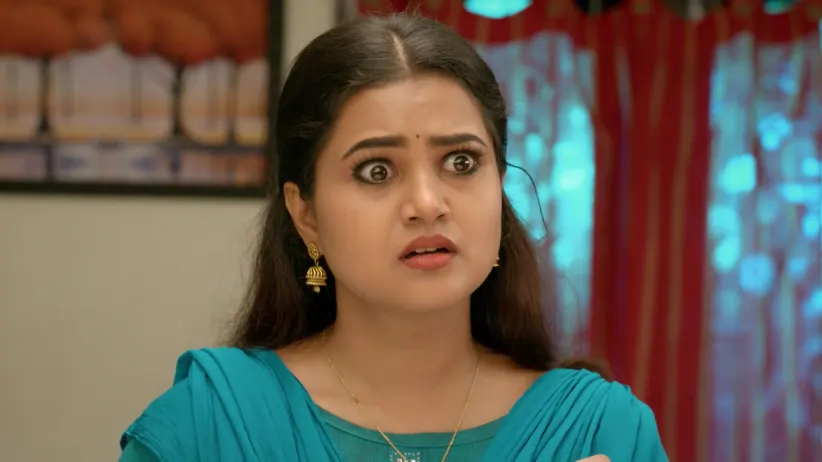 Chinnan Siru Kiliye - December 02, 2025 - Episode Spoiler