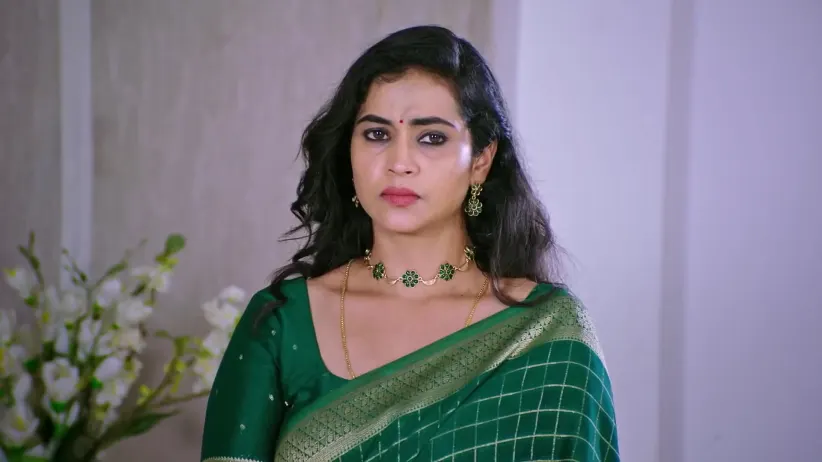 Siddu's Family Searches for a Bride for Him