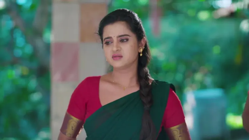 Gowri | November 24 - November 28, 2025