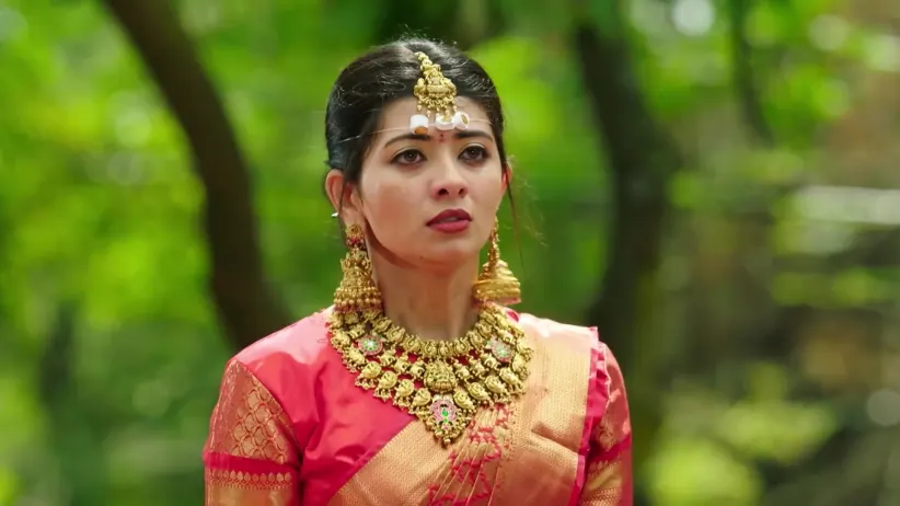 Rajakumari - December 09, 2025 - Webisode