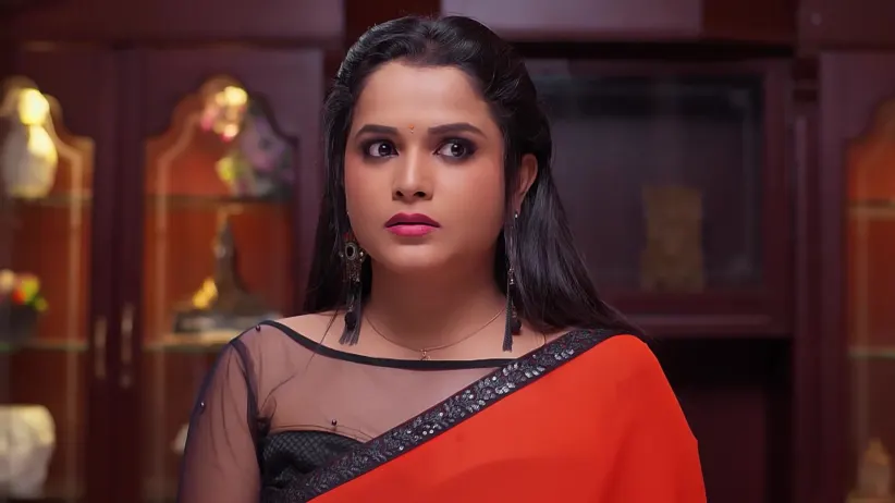 Raja Chinna Roja - December 11, 2025 - Episode Spoiler