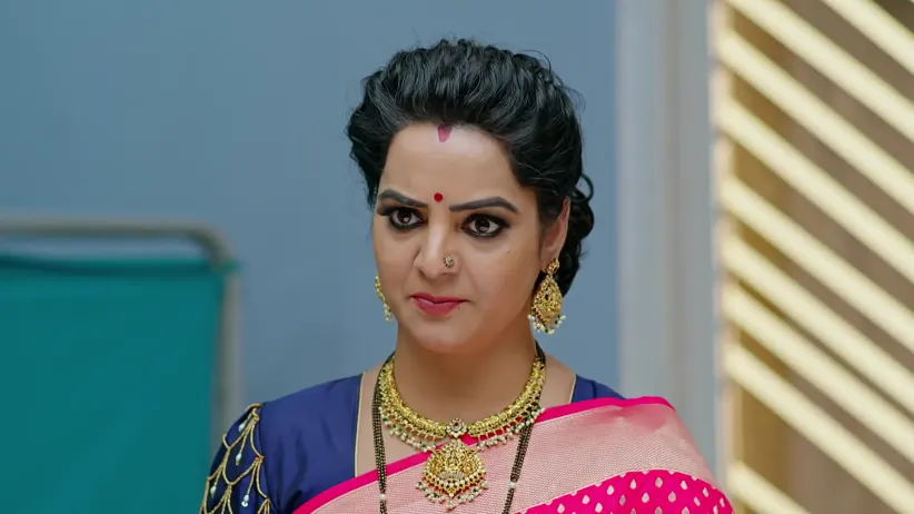 Ummadi Kutumbam - December 12, 2025 - Webisode