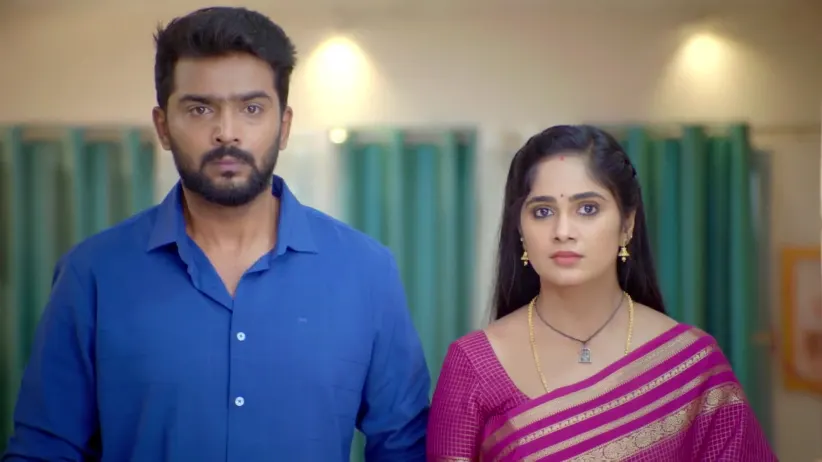 Selvanayagi Blames Ayali - Ayali