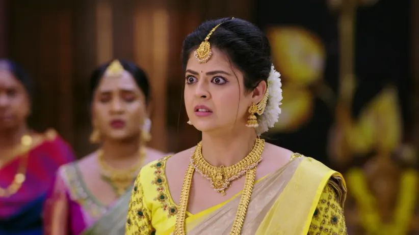 Jodi Hakki - December 27, 2025